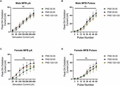 Sexually dimorphic development of the mesolimbic dopamine system is associated with nuanced sensitivity to adolescent alcohol use